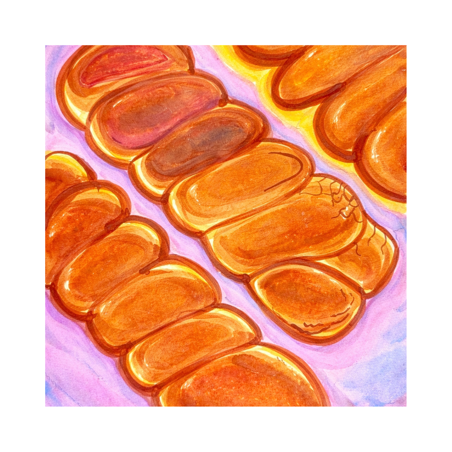Buns & Cellulite, 8inx8in Print